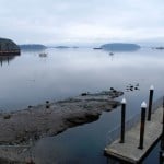 Looking across Padilla Bay from the top of ramp at A Dock. The rock outcropping in the foreground is completely submerged at high tide. The white cloud area on the horizon hides Mt. Baker - and it's really spectacular when clear.