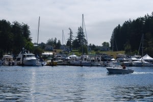 Roche Harbor hosts boating rendezvous almost every weekend during the summer - this weekend, it's the Columbia River Yacht Club, with their boats completely filling the guest dock. Behind on the grass are cottages that can be rented.