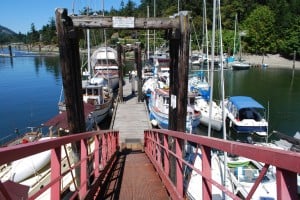 We  had earlier thought Fulford Sound might be a nice place to stop by with Flying Colours, but a quick visit showed that the small marina is too small for us to get into.  There's nice looking anchorage in the sound, though.