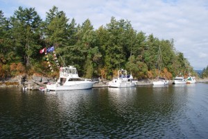 Ovens Island at our departure.