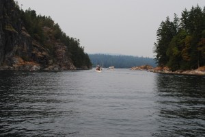 The view of Gorge Harbour at the entrance.