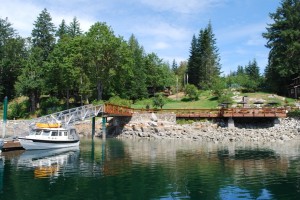 At the shoreline is the new BBQ deck.  Up the sloping grassy area - and almost hidden in the trees - is the Floathouse Restaurant.