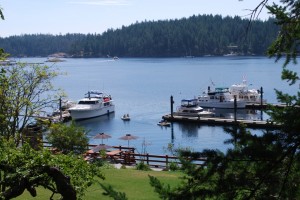 View of Gorge Harbour from the shore.  Flying Colours is on the outer dock at the right side of the photo.  The BBQ area is in the foreground.