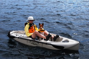 Kap and I went for a kayak cruise around the shoreline of Gorge Harbour.  Gator wanted to go, so Kap took him aboard with her.