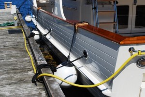 Our 16" fenders hold us that distance off the dock - plenty of room for ZuZu to fall through and into the water.  It's still a wonder she didn't hurt herself by landing half on/half off or something worse.