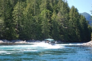 Between Dent Island and Little Dent Island is a small rapids that has exposed rocks at low tide; at high tide, the small fishing boats roar through it to save time going around, but also to have fun.