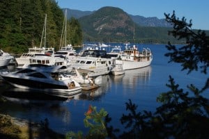 Our view from the lodge dining deck.  Flying Colours is almost hidden, on the other side of the dock from the bow of the Thea Foss.