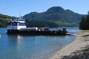 This is how fuel, propane, and heavy equipment is moved around in these remote parts.  This particular barge is hooked up with Marine Link Tours from Campbell River, and they have up to 15 paying guests on board for a 5-day working-type cruise around the area.  While the barge unloaded here, the guests came ashore for a hike on a nearby trail to see a huge tree that's famous in the area.