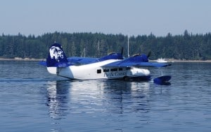 Grumman Goose taxiing