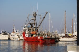 The Neocaligus moored at the Port McNeill city marina a week earlier