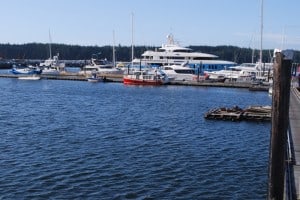 Silver Shalis dominates the entire marina – in fact, at 174’ the Silver Shalis took up the entire dock it was on.  For perspective, the red and white Nordic Tug in the foreground is 32' long, and it would probably sit comfortably on the bow of the Silver Shalis.