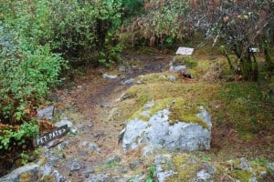 The “pet path” behind the general store.  It’s a bit better than the doggy floats in the Broughton’s, but not much.  The hillside is so rugged and rocky here that even this little bit of moss-covered rock is better than nothing.