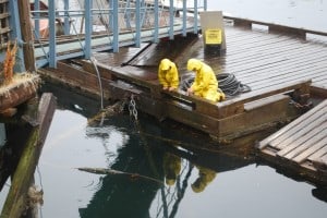 Two young boys try their luck at dock fishing in the morning rain.  They were on the inside of the main float dock, in probably not more than 5’ of water, and from the looks of it, you wouldn’t want to eat anything from it.  If anything, they might have caught something small that could be used for bait.