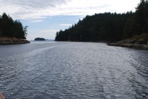 Dodd Narrows directly ahead of the bow.  It was ½ hour before slack at high tide, so it looks quite wide.  The current was running with us at 2½ knots, so it wasn’t a problem to get through, but the eddies caused by the current swung our bow from left to right about ½ dozen times going through.