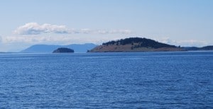 Directly north of Roche Harbor on San Juan Island is the privately-owned Spieden Island – one of the more unusual islands in the group, with its south-facing slopes barren of trees and grass covered, and its north-facing slopes heavily wooded.  Several decades ago, the island’s owner attempted to make it into a big game hunting preserve, but this was abandoned from fears that bullets could carry across to the heavily populated areas on San Juan Island.  The mountains in the background are on Vancouver Island, north of Victoria.